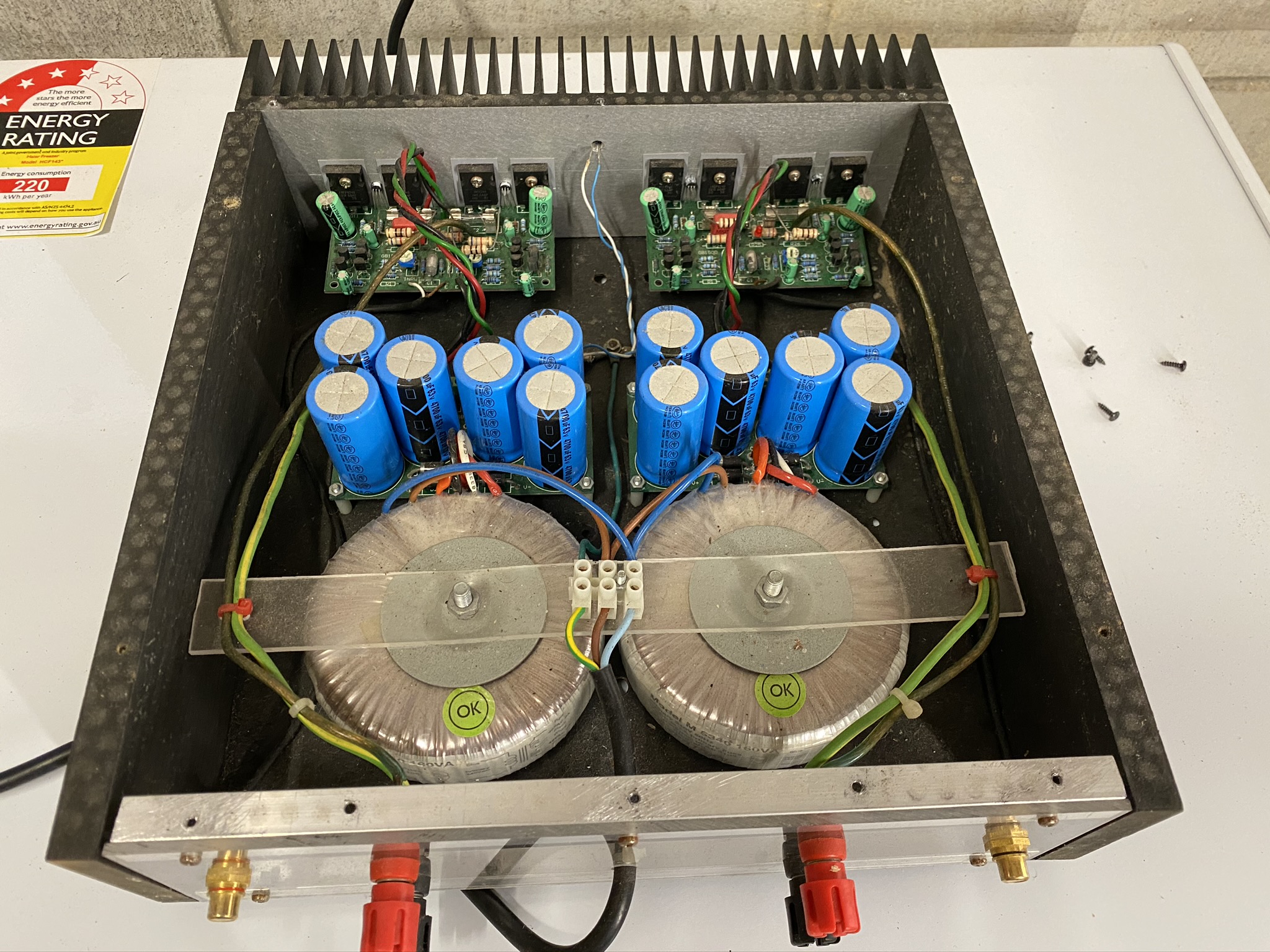 DIY SKA Audio GB150 mosfet pwer amp kit | diyAudio