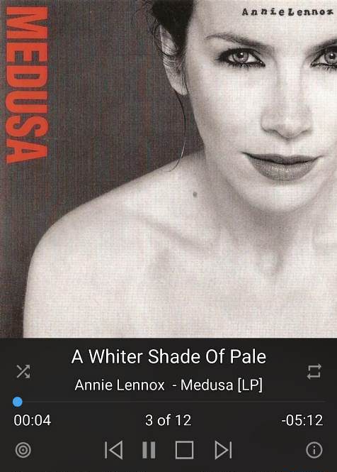 Annie Lennox - Medusa.jpg