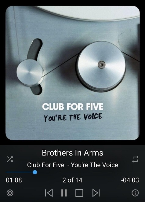 Club For Five - You're the Voice.jpg