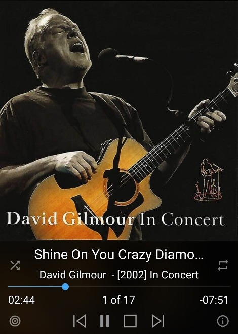 David Gilmour - In Concert.jpg