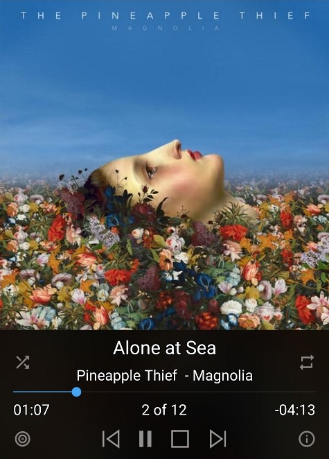 Pineapple Thief - Magnolia.jpg