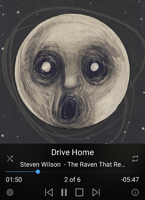 Steven Wilson - The Raven.jpg
