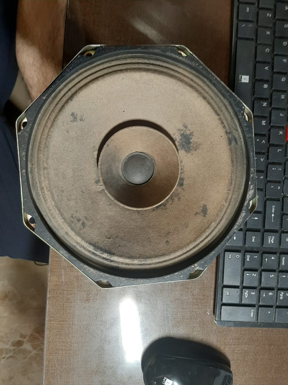 Vintage Philips speaker identification | diyAudio