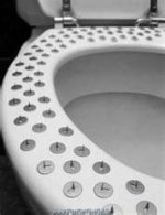 toilet with thumbtacks.jpg