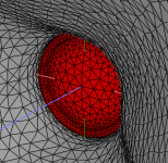 Tritonia Dome Mesh Close.png