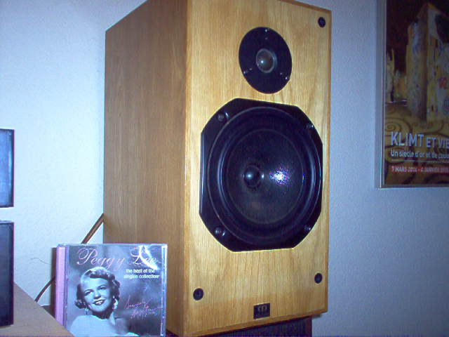 Monitor 2024 audio r300